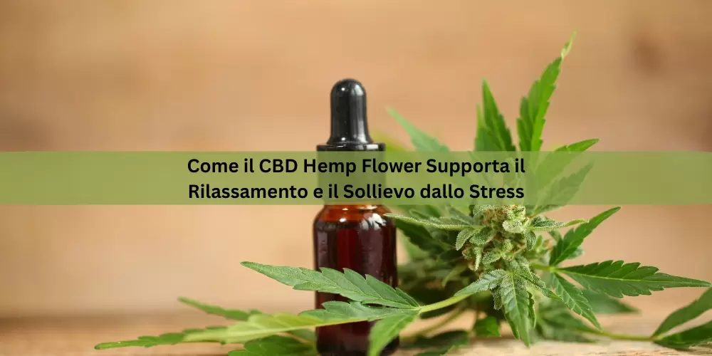 Come il CBD Hemp Flower Supporta il Rilassamento e il Sollievo dallo Stress